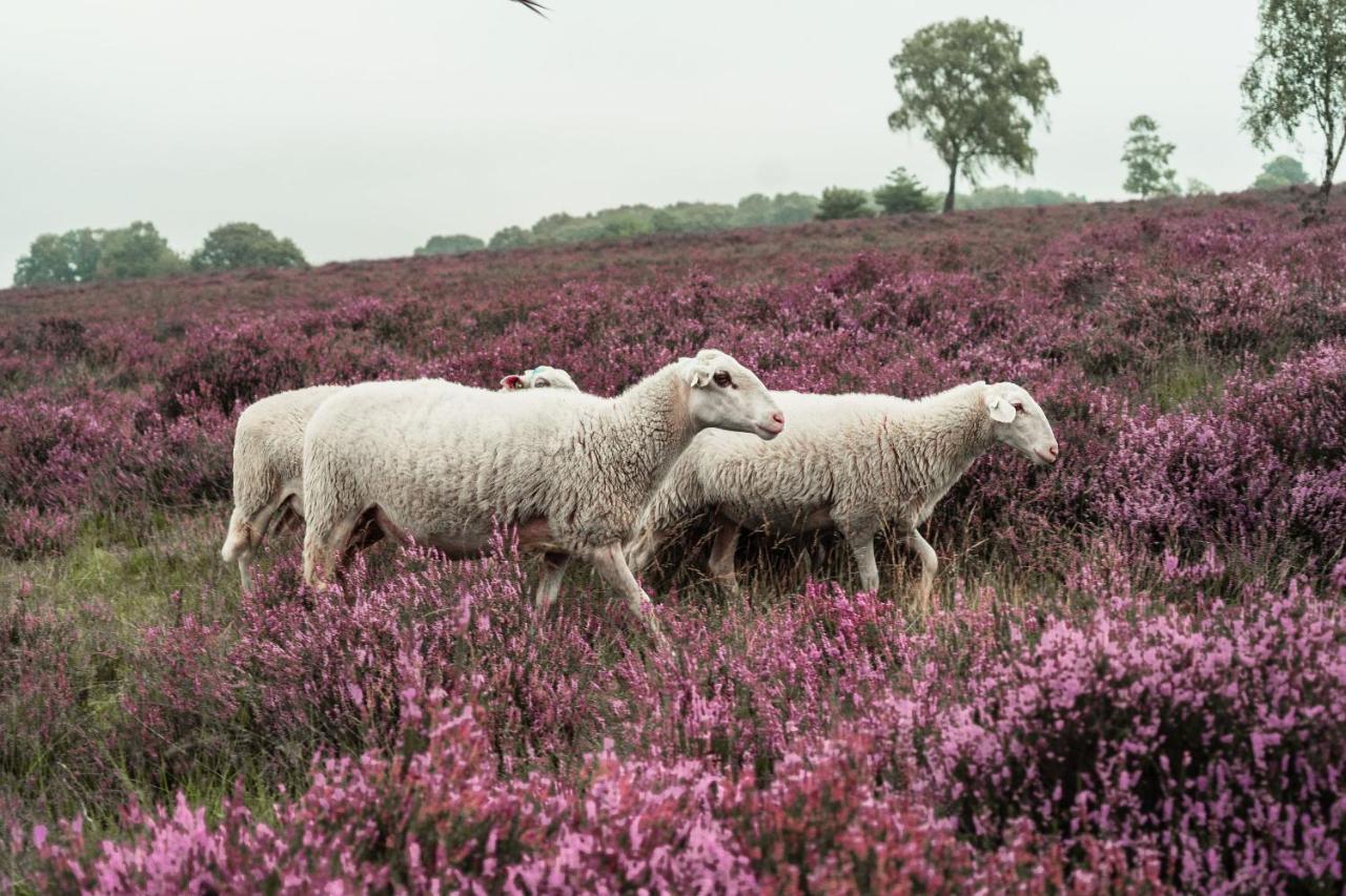 Veluwe Hotel De Beyaerd Hulshorst Bagian luar foto