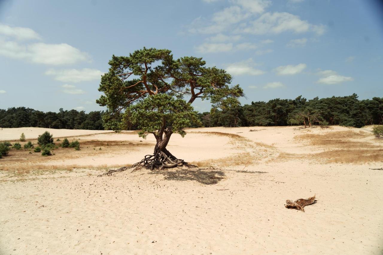 Veluwe Hotel De Beyaerd Hulshorst Bagian luar foto
